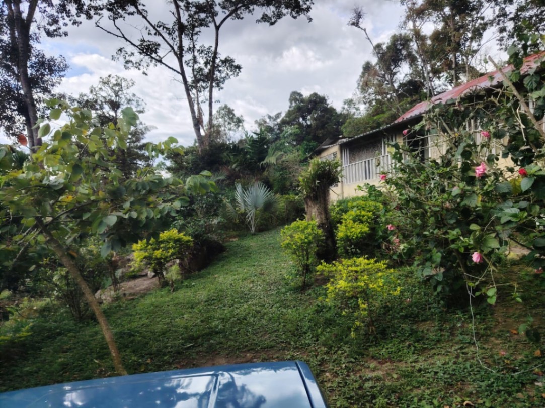 Viotá, Cundinamarca, Colombia 5